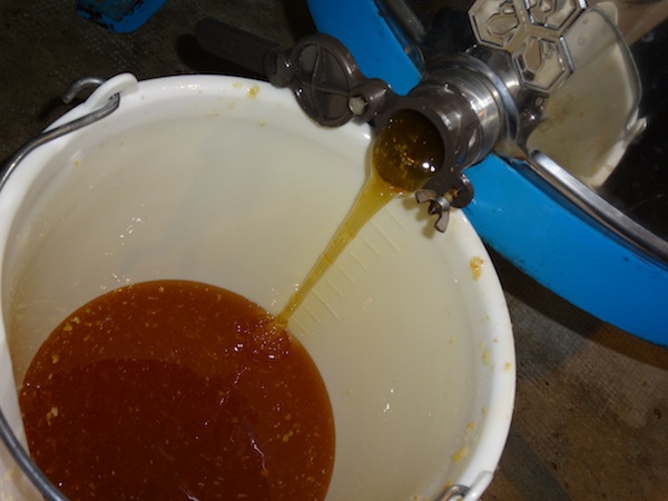Le miel extrait par la centrifugeuse